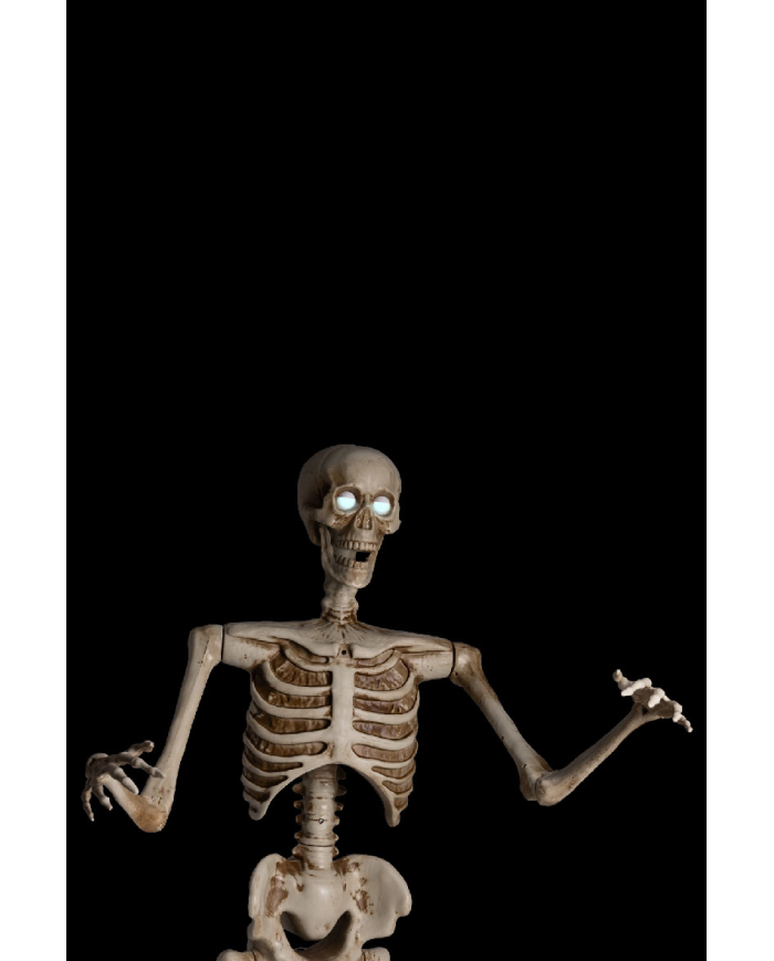 Skeleton on pedestal with ligths, sound and movement (220 volt) h.cm.160 in box