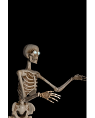 Skeleton on pedestal with ligths, sound and movement (220 volt) h.cm.160 in box