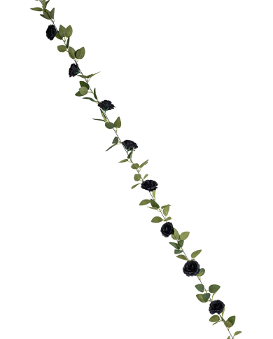 Vertikale Hängeschnur mit schwarzen Rosen L. ca. 220 cm mit Pappschild/Etikett