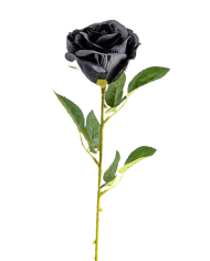 Schwarze Rose H. ca. 63 cm mit Pappschild/Etikett