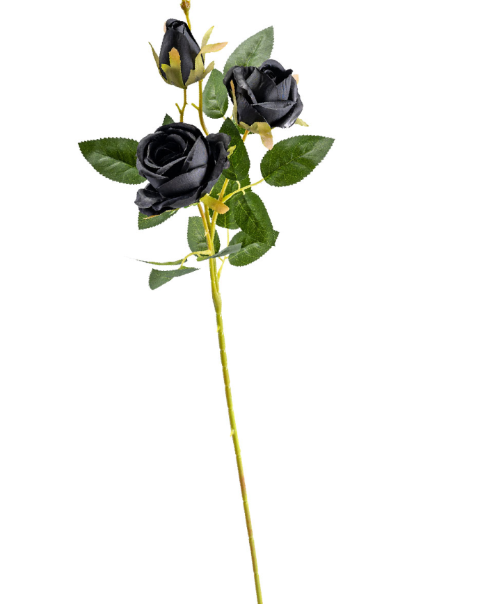 Ramo con 3 rosas negras de unos 65 cm. de alto con etiqueta colgante/etiqueta