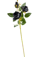 Mazzo con 3 rose nere h.cm.65 ca. con cartellino/etichetta