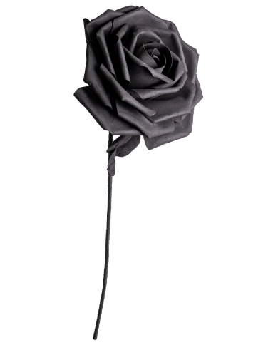Rose noire géante en EVA diamètre 40 cm hauteur 100 cm environ avec étiquette volante/étiquette