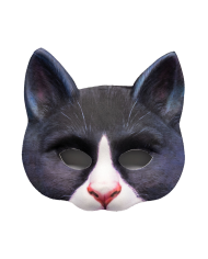 Cat fabric mask on card