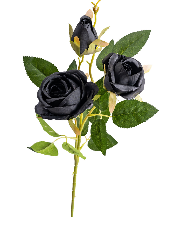 Ramo con 3 rosas negras de unos 65 cm. de alto con etiqueta colgante/etiqueta