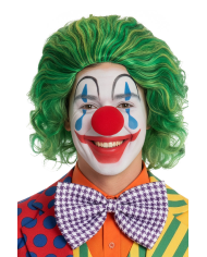 Parrucca clown verde in busta c/gancio