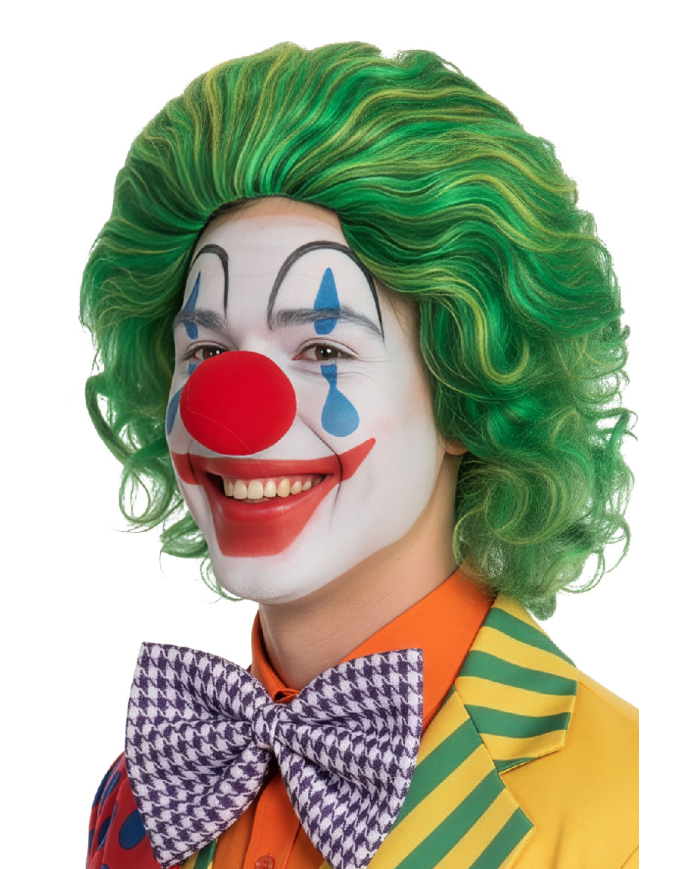Parrucca clown verde in busta c/gancio