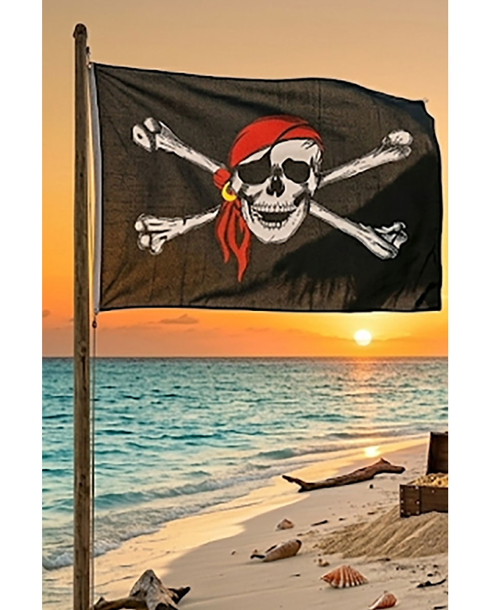 Pirate Flag W/Staff In Pbh