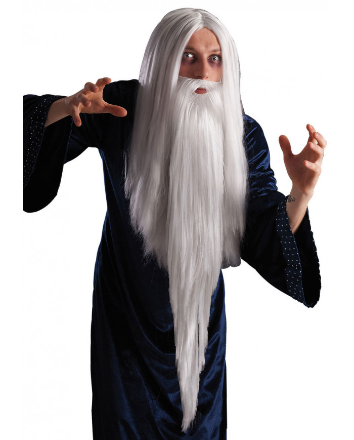 Magician Wig W/Beard In Polybag Magician Wig W/Beard In Polybag