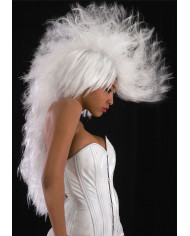 Perruque White punk dans un étui