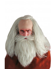 Magician Wig And Beard In Box