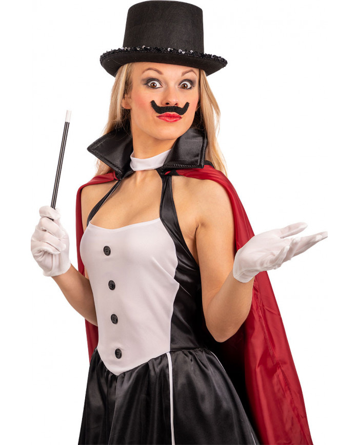 Conjurer set consisting of hat, gloves, wand and moustaches