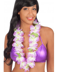 Collier de fleurs lilas et blanches avec carte d’en-tête Collier de fleurs lilas et blanches avec carte d’en-tête