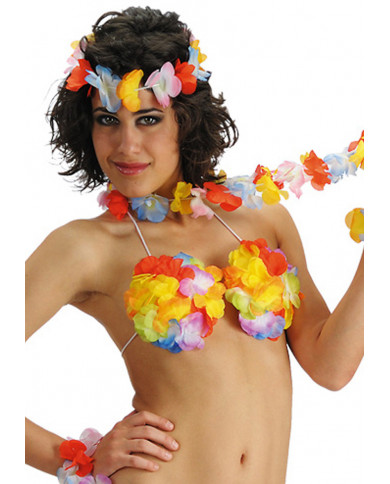Soutien-gorge hawaïen dans une pochette avec carte d’en-tête Soutien-gorge hawaïen dans une pochette avec carte d’en-tête