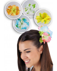 Hairslide Hawaii In Pbh, Ass.Col. Hairslide Hawaii In Pbh, Ass.Col.