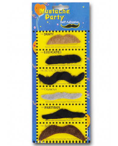 Fiche avec 6 moustaches assorties sous blister