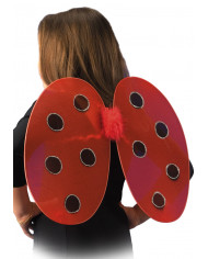 Lady Bird Wings In Pbh, H.Cm.30X40