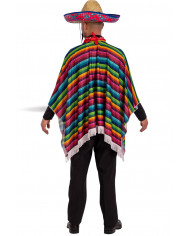 Colorful Mexican poncho in striped fabric with fringes, wide Colorful Mexican poncho in striped fabric with fringes, wide