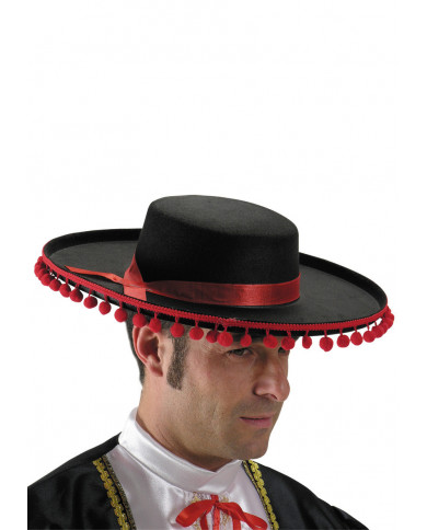 Felt Spanish Hat
