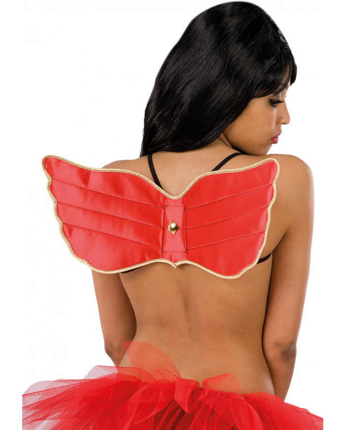 Red Fabric Wings Cm 20X48 In Bag