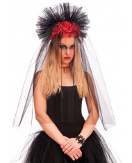 Headgear With Veil, Roses And Headband In Bag