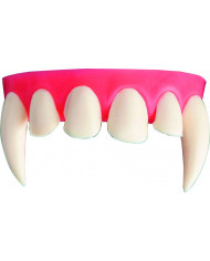 Dentadura de alta calidad con termoplástico en blíster de modelos Dentadura de alta calidad con termoplástico en blíster de modelos