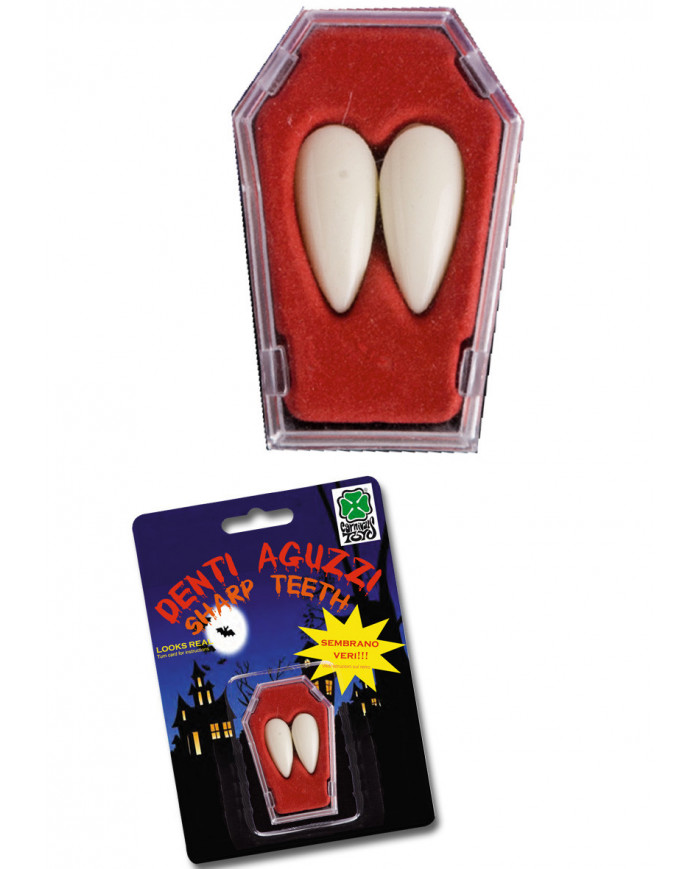 Canine Teeth In Blister In Display Canine Teeth In Blister In Display