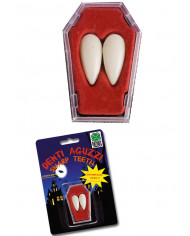 Canine Teeth In Blister In Display Canine Teeth In Blister In Display