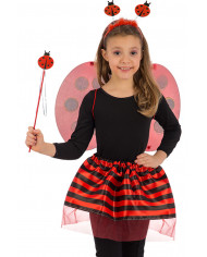 Red ladybug set consisting of wings of cm.34x52, skirt Red ladybug set consisting of wings of cm.34x52, skirt