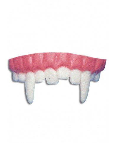 Dentier dans une pochette avec carte d’en-tête Dentier dans une pochette avec carte d’en-tête