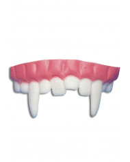 Dentier dans une pochette avec carte d’en-tête