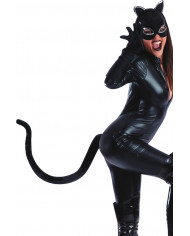 Black cat tail, one of the most characteristic characters of Black cat tail, one of the most characteristic characters of