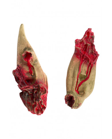 Pointed latex ears with wounds and blood splatters to complete Pointed latex ears with wounds and blood splatters to complete