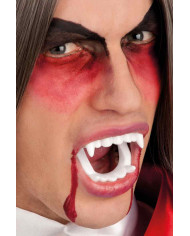 Sangue finto in bottiglia da 20 ml con dentiera vampiro in Sangue finto in bottiglia da 20 ml con dentiera vampiro in