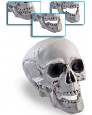 Tête de mort squelette avec mâchoire mobile, hauteur 15 cm environ