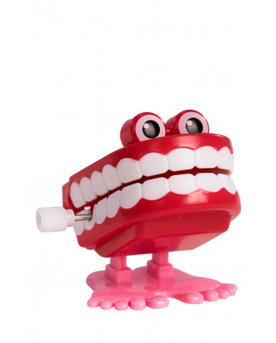 Dentier à ressort sur un présentoir Dentier à ressort sur un présentoir