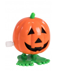 Pumpkin In Display Box