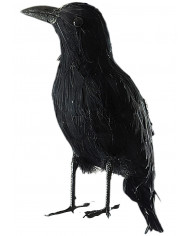 Crow Life Size, H.Cm.22