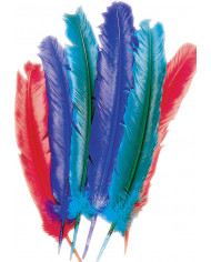 10 Truthahnfedern L. ca. 25/30 cm verschiedene Farben in Beutel mit 10 Truthahnfedern L. ca. 25/30 cm verschiedene Farben in Beutel mit