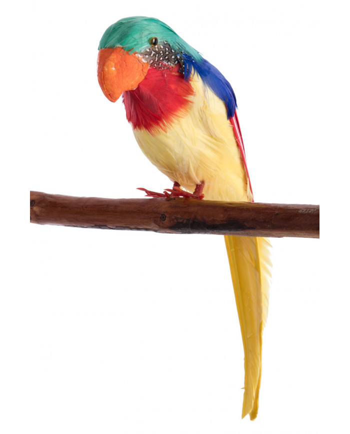 Feather parrot, high cm.2, suitable as decoration for Hawaii