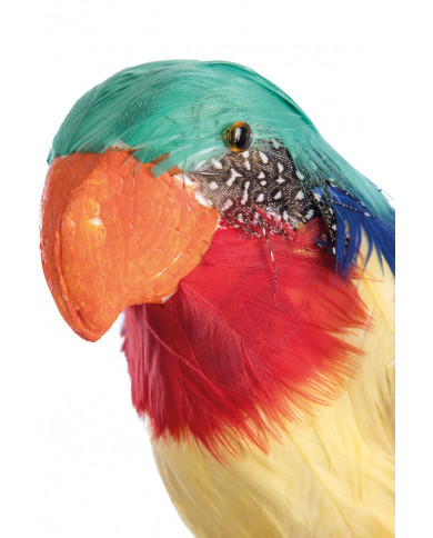 Feather parrot, high cm.2, suitable as decoration for Hawaii