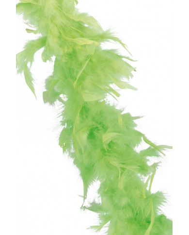 Green fluo feather boa for a whiff of joy and color that will Green fluo feather boa for a whiff of joy and color that will