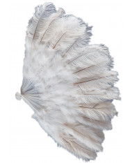 Extra Luxury Ostrich Feathers Fan In Polybag Diam.Cm.100