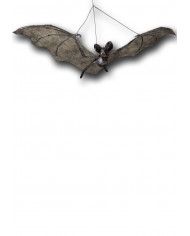 Chauve-souris à suspendre, largeur 54 cm environ avec étiquette Chauve-souris à suspendre, largeur 54 cm environ avec étiquette