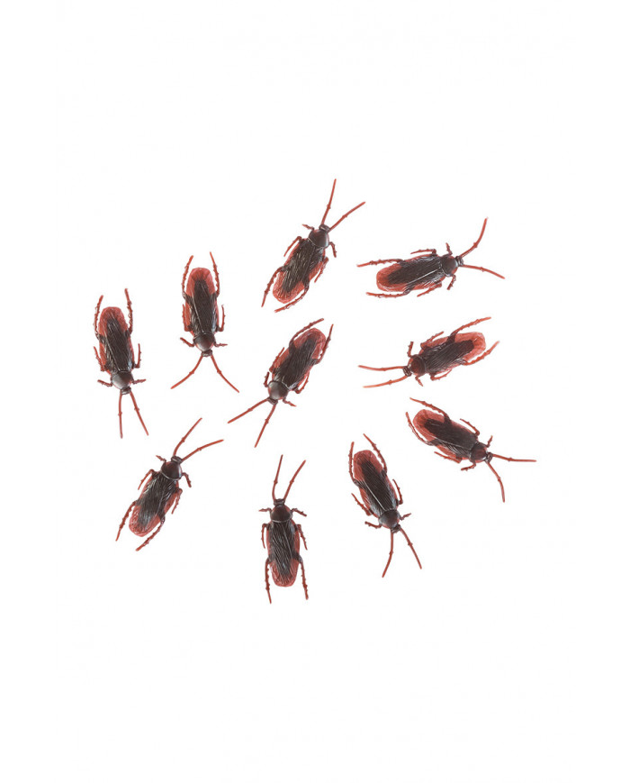 Pack of 1 plastic cockroaches long cm.7. With this realistic