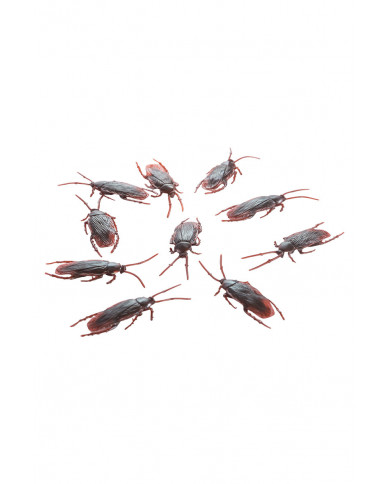 Pack of 1 plastic cockroaches long cm.7. With this realistic Pack of 1 plastic cockroaches long cm.7. With this realistic
