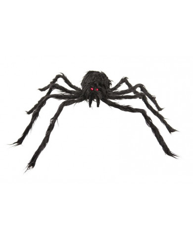 Black hairy spider with diameter cm.6. It has two small red Black hairy spider with diameter cm.6. It has two small red
