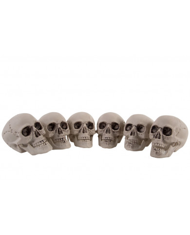 6 skulls, high cm.7, to decorate the small horror angles and