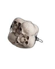 6 skulls, high cm.7, to decorate the small horror angles and