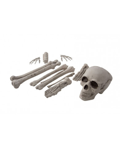12 bones, to decorate the small horror angles and Halloween 12 bones, to decorate the small horror angles and Halloween